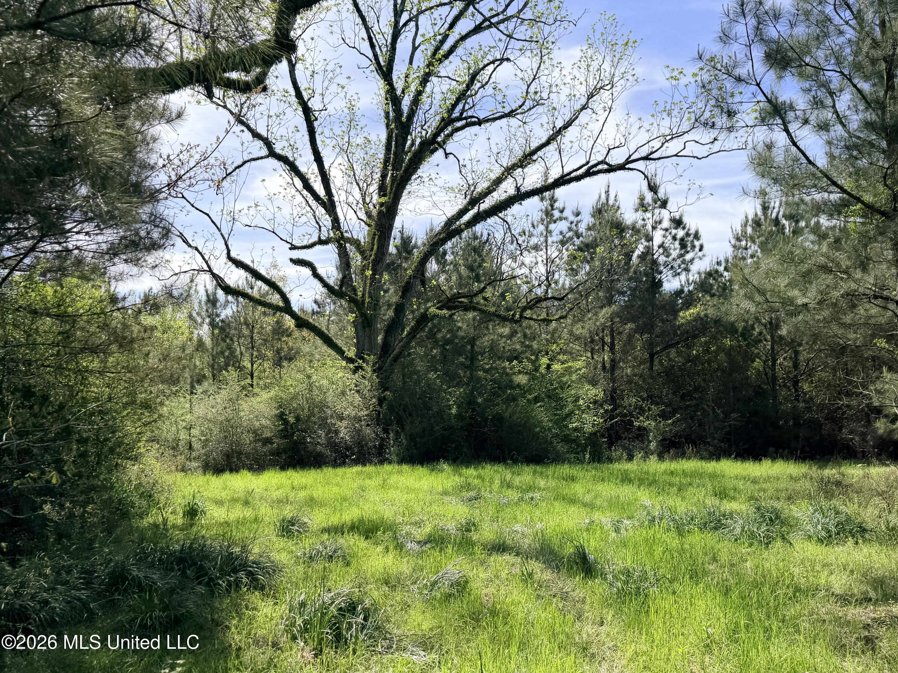 Chathaw Path Smithdale, MS 39664 - Photo 10 of 42 IMG_5013