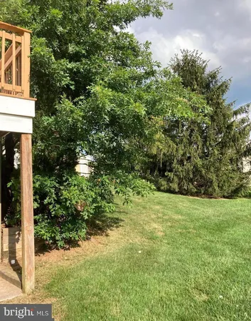 a view of a yard with plants and trees