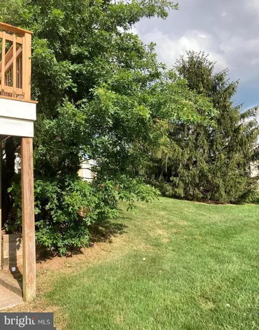 a view of a yard with plants and trees