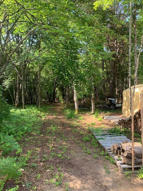 Tbd Cranberry Road Waterboro, ME 04087 - Photo 10 of 36 image5