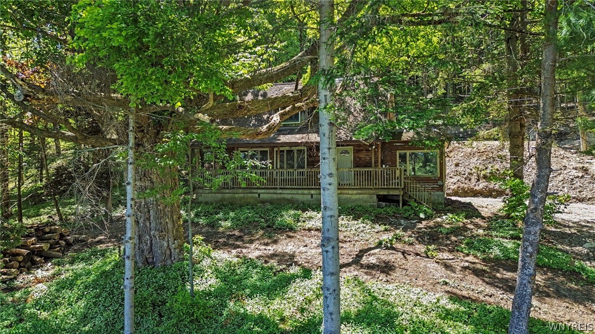 8176 Irish Road Colden, NY 14033 - Photo 21 of 41