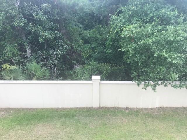 62 Grande Pointe Drive Inlet Beach, FL 32461 - Photo 3 of 57 Back Yard