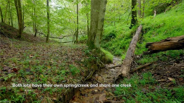 $243,900 | 1580 Seven Island Road, Danbury, NC 27016