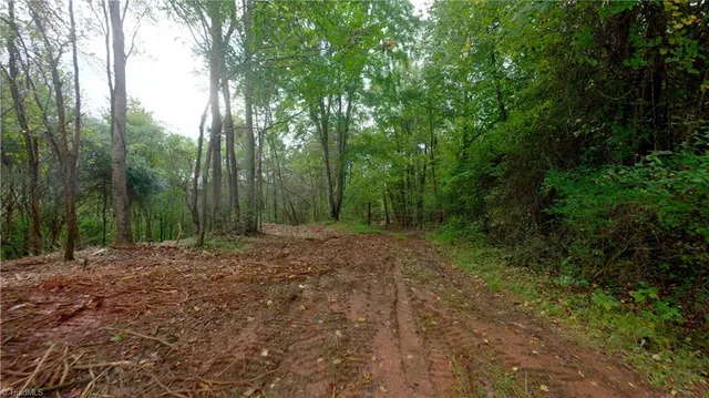 $243,900 | 1580 Seven Island Road, Danbury, NC 27016