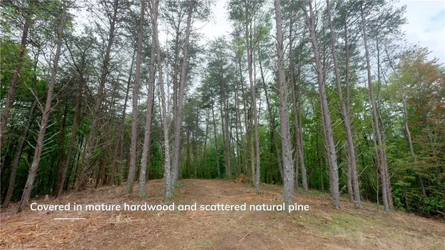 $243,900 | 1580 Seven Island Road, Danbury, NC 27016