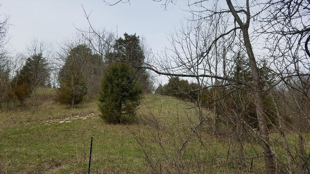 0 Three Lick Road Harrodsburg, KY 40330 - Photo 9 of 9 Photo 9