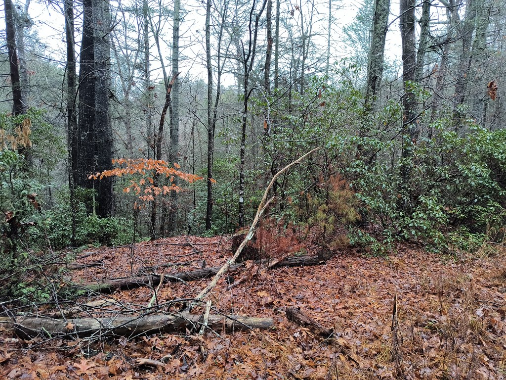 Lot 39 Kells Ridge Drive Ellijay, GA 30540 - Photo 5 of 10 Gallery Image 5
