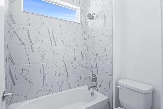 a bathroom with a toilet and a bathtub