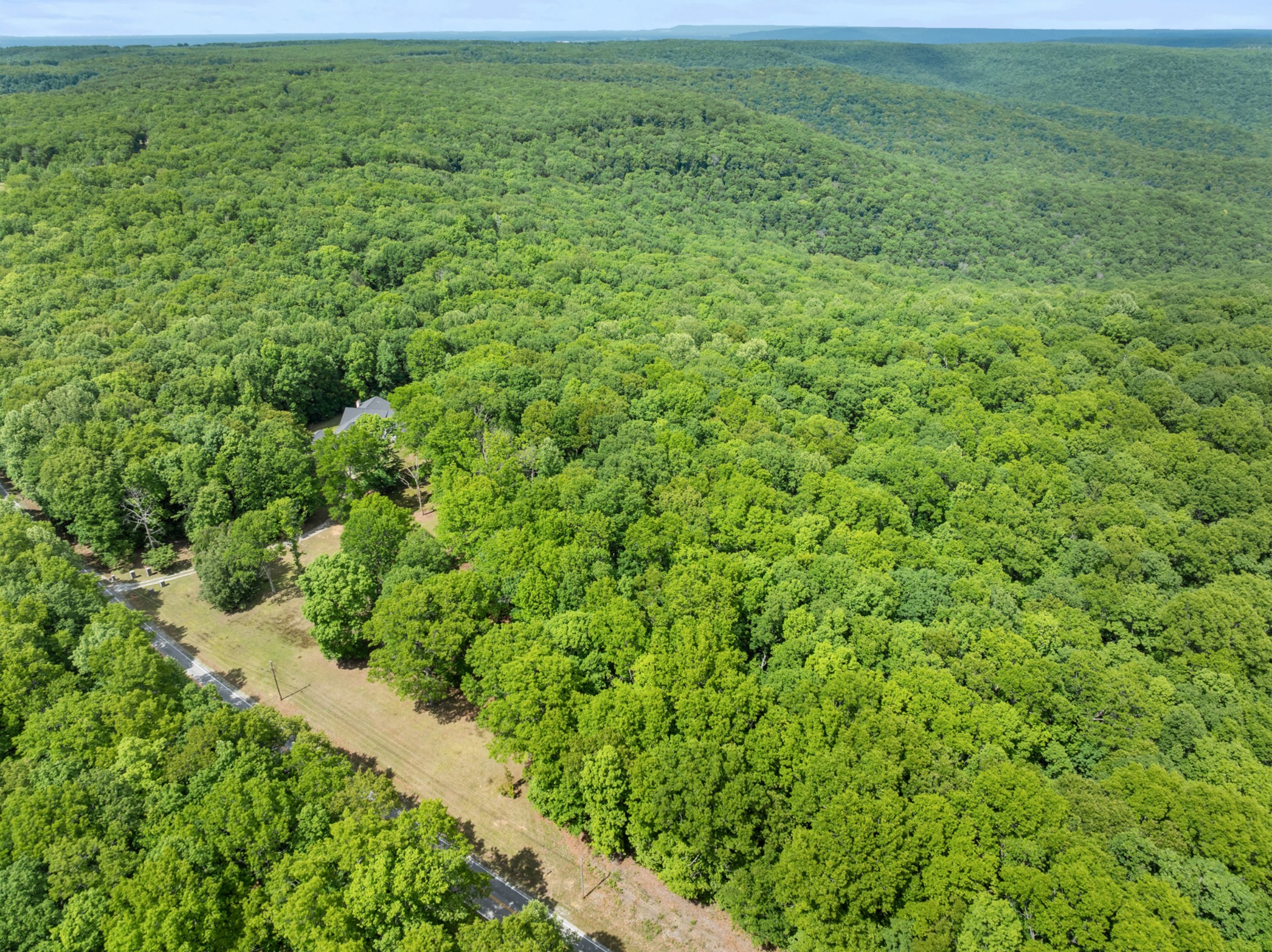 3287 Keith Springs Mountain Road Belvidere, TN 37306 - Photo 56 of 57 a view of a big yard with plants and large trees