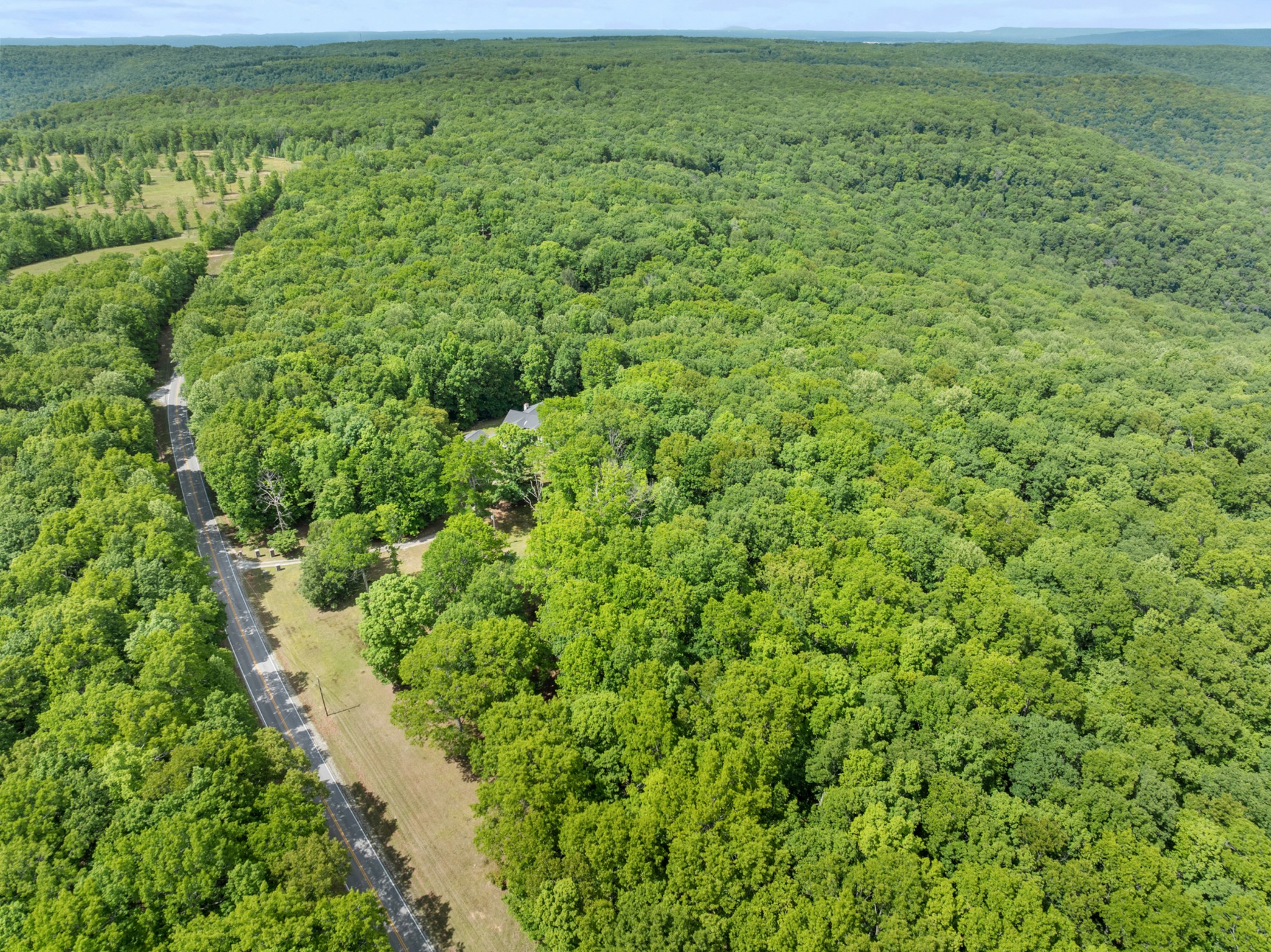 3287 Keith Springs Mountain Road Belvidere, TN 37306 - Photo 57 of 57 a view of a big yard with plants and large trees