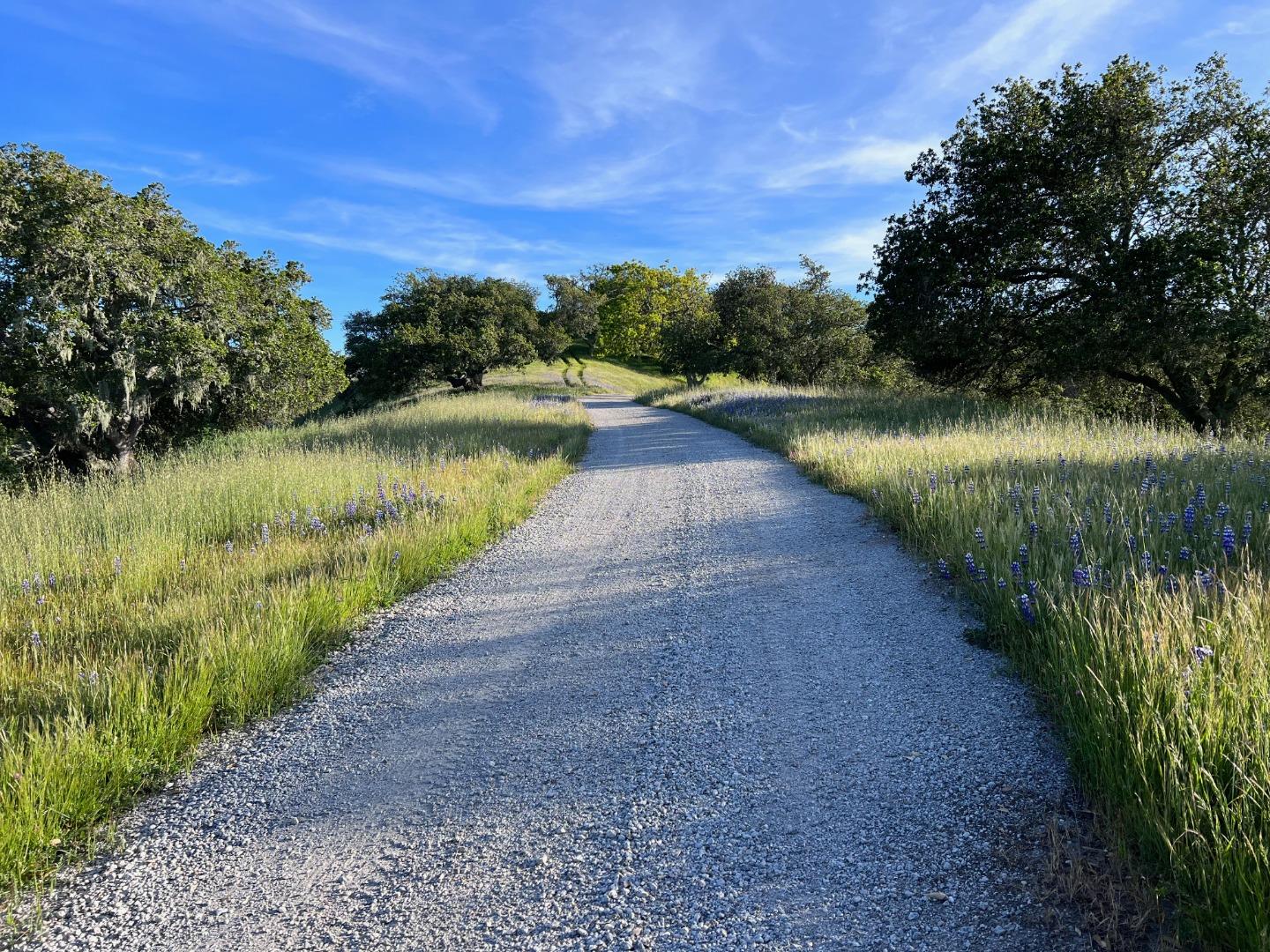 28000 Underwood Road Salinas, CA 93908 - Photo 3 of 41 a view of a lake with a big yard
