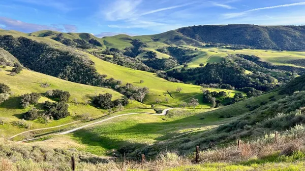 a view of swimming pool with a garden