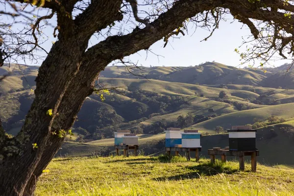a view of swimming pool