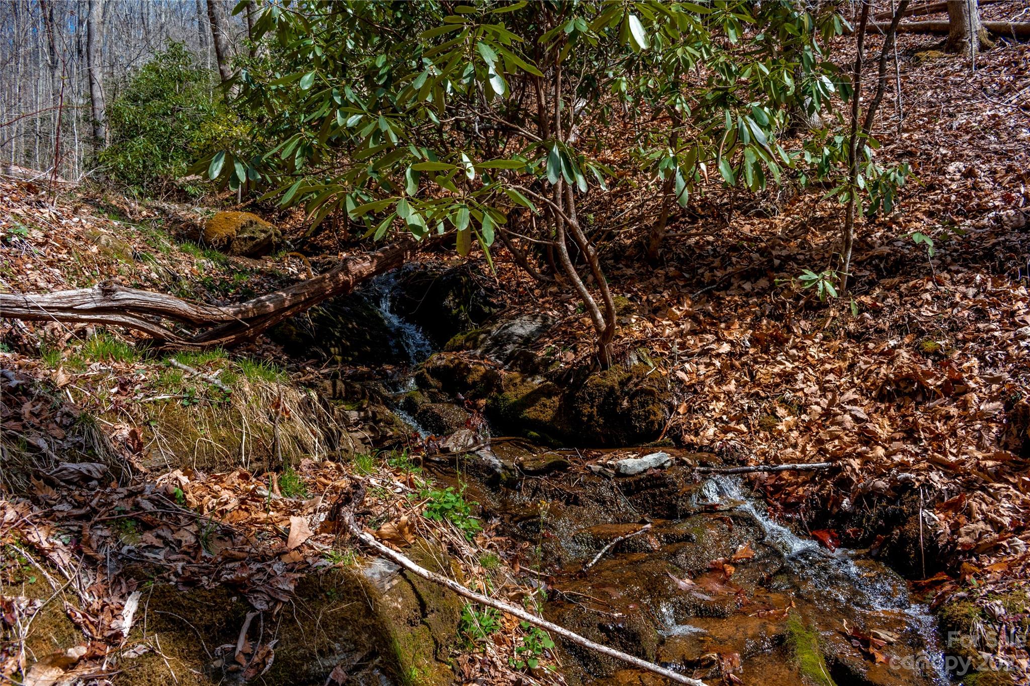 Tbd Marlowe Road Fairview, NC 28730 - Photo 1 of 46 Gallery Image 1