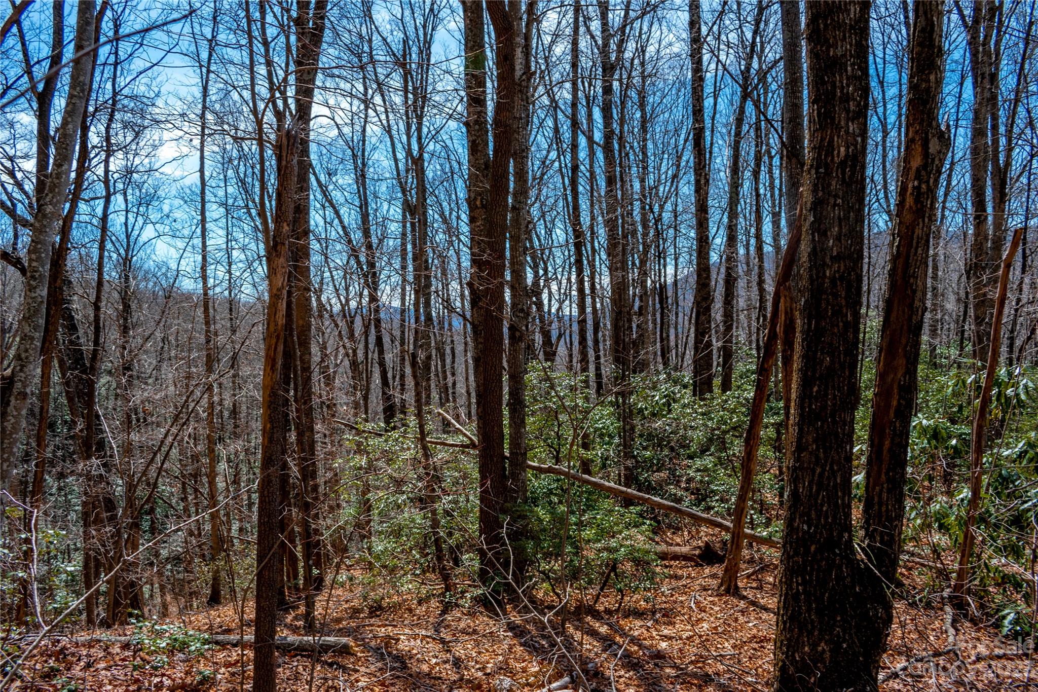 Tbd Marlowe Road Fairview, NC 28730 - Photo 17 of 46 Gallery Image 17