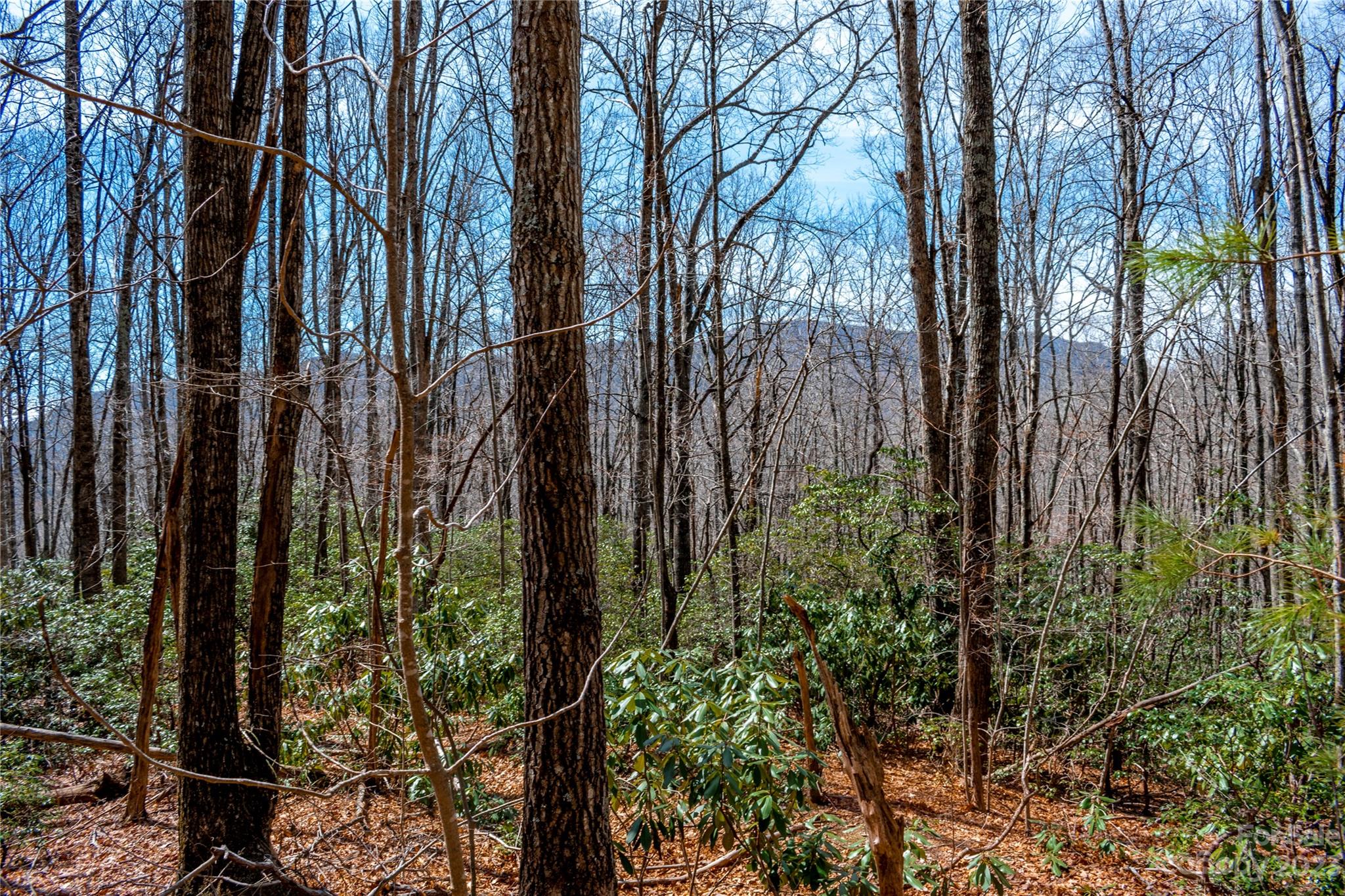 Tbd Marlowe Road Fairview, NC 28730 - Photo 18 of 46 Gallery Image 18
