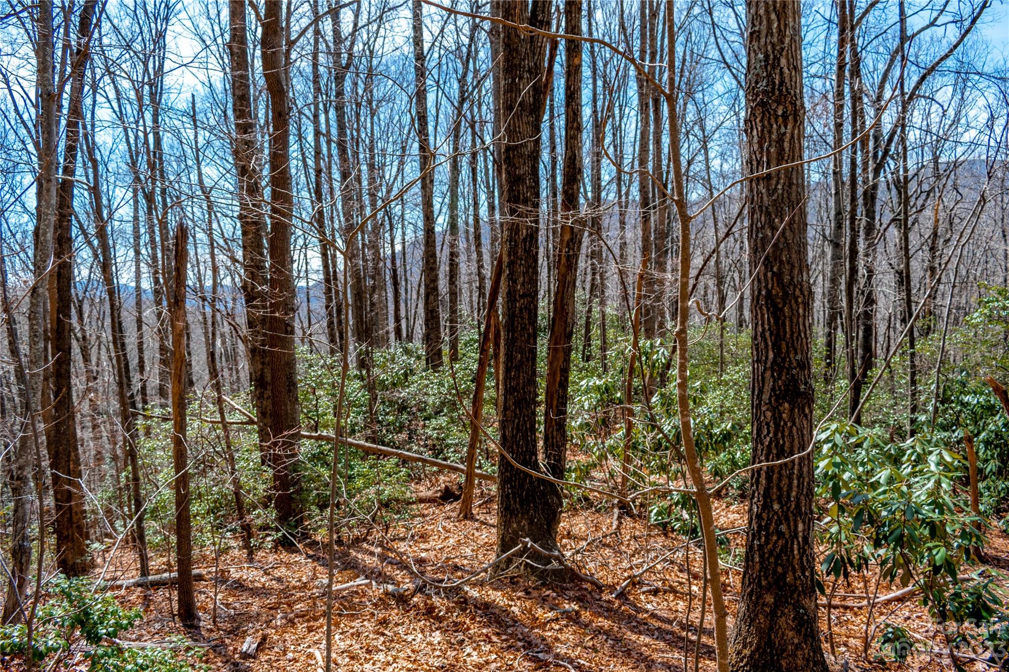 Tbd Marlowe Road Fairview, NC 28730 - Photo 19 of 46 Gallery Image 19