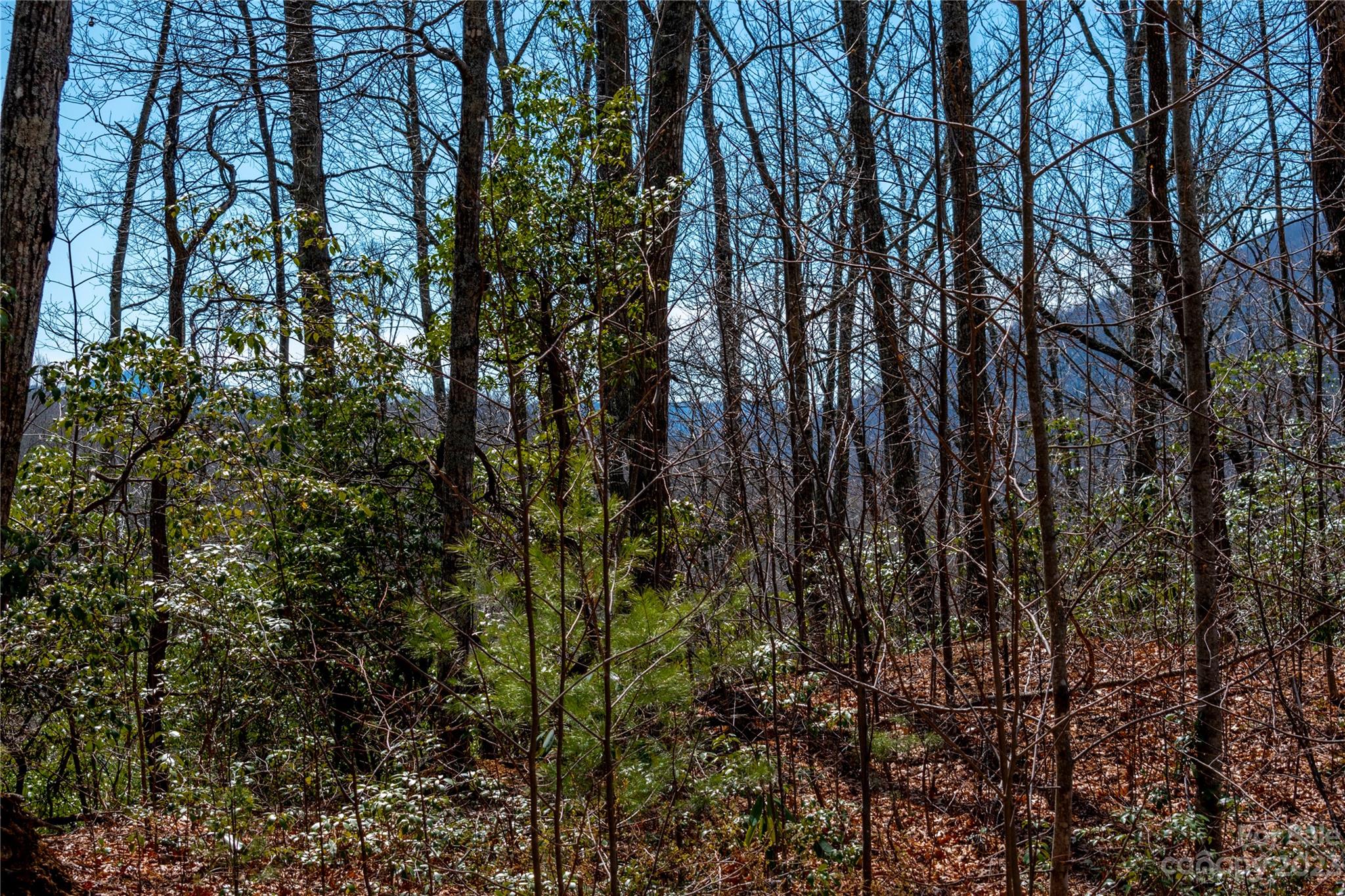 Tbd Marlowe Road Fairview, NC 28730 - Photo 2 of 46 Gallery Image 2