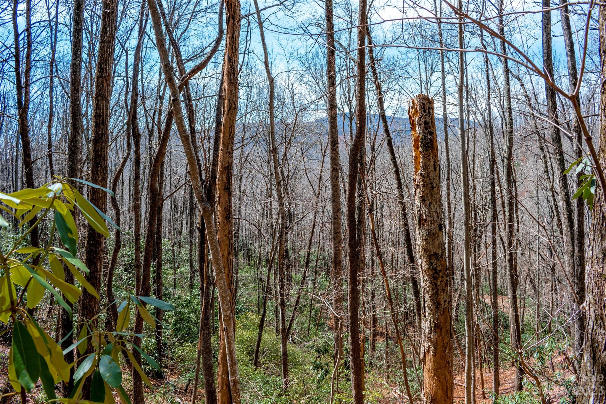 Tbd Marlowe Road Fairview, NC 28730 - Photo 23 of 46 Gallery Image 23
