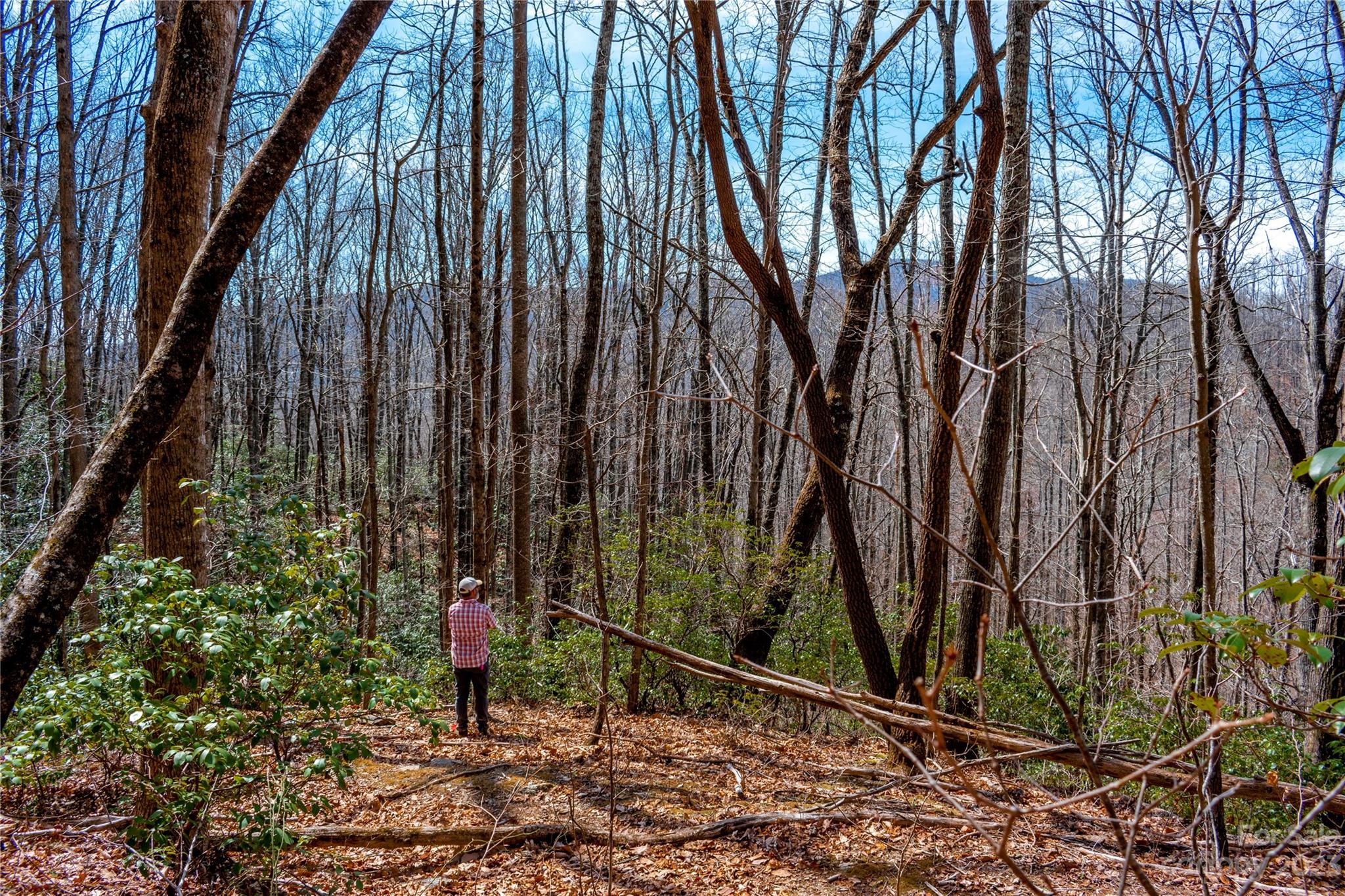Tbd Marlowe Road Fairview, NC 28730 - Photo 26 of 46 Gallery Image 26