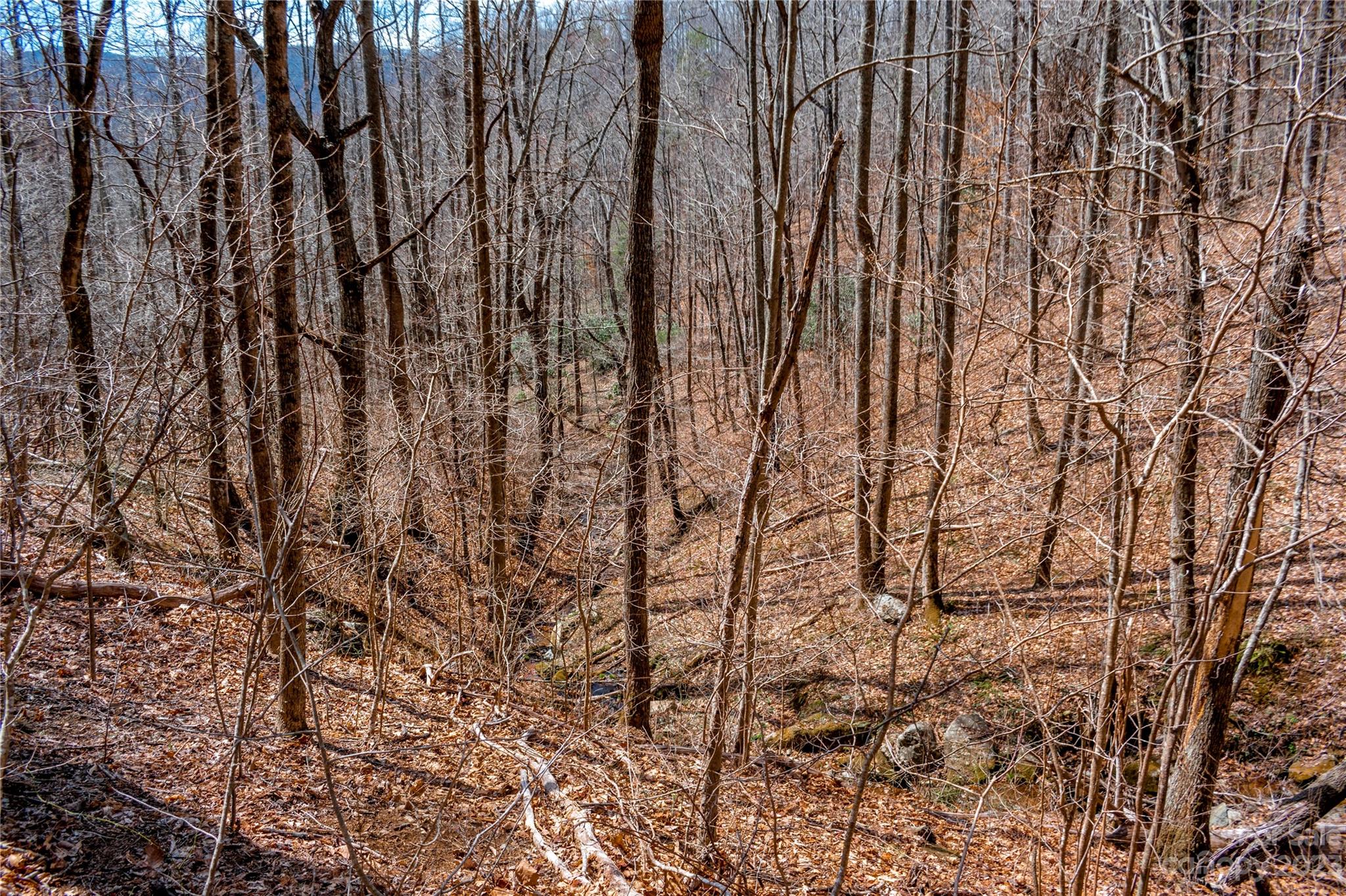 Tbd Marlowe Road Fairview, NC 28730 - Photo 27 of 46 Gallery Image 27