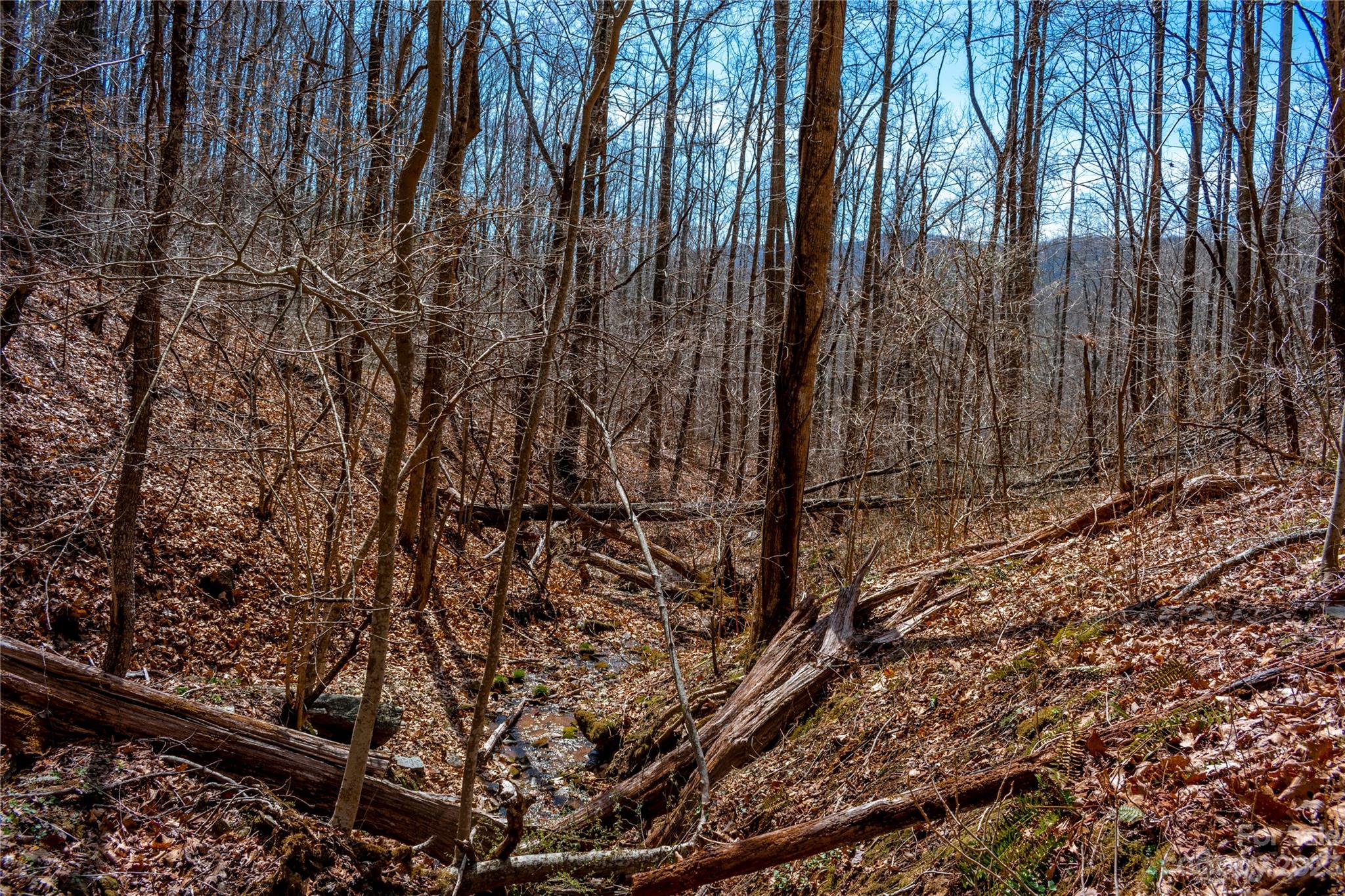 Tbd Marlowe Road Fairview, NC 28730 - Photo 30 of 46 Gallery Image 30