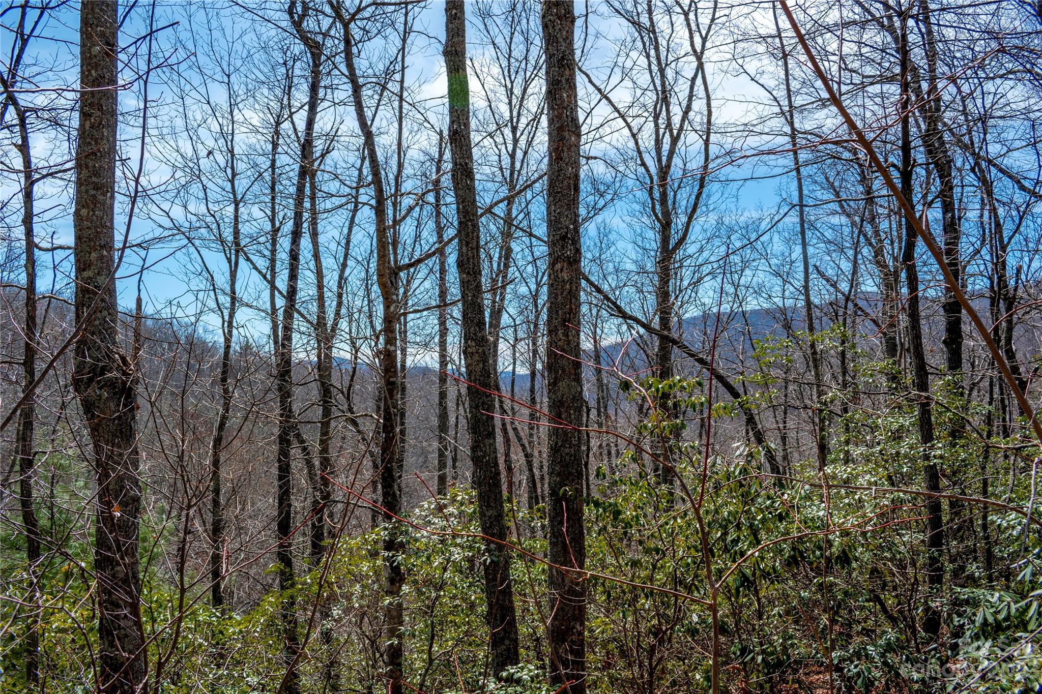 Tbd Marlowe Road Fairview, NC 28730 - Photo 3 of 46 Gallery Image 3