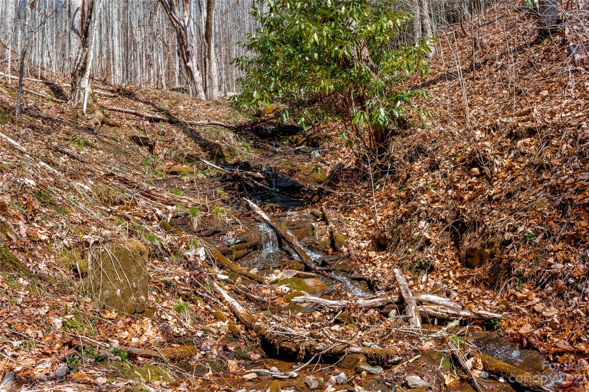 Tbd Marlowe Road Fairview, NC 28730 - Photo 32 of 46 Gallery Image 32