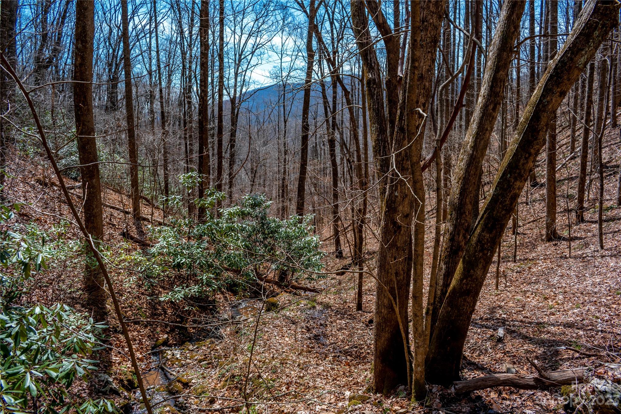 Tbd Marlowe Road Fairview, NC 28730 - Photo 36 of 46 Gallery Image 36
