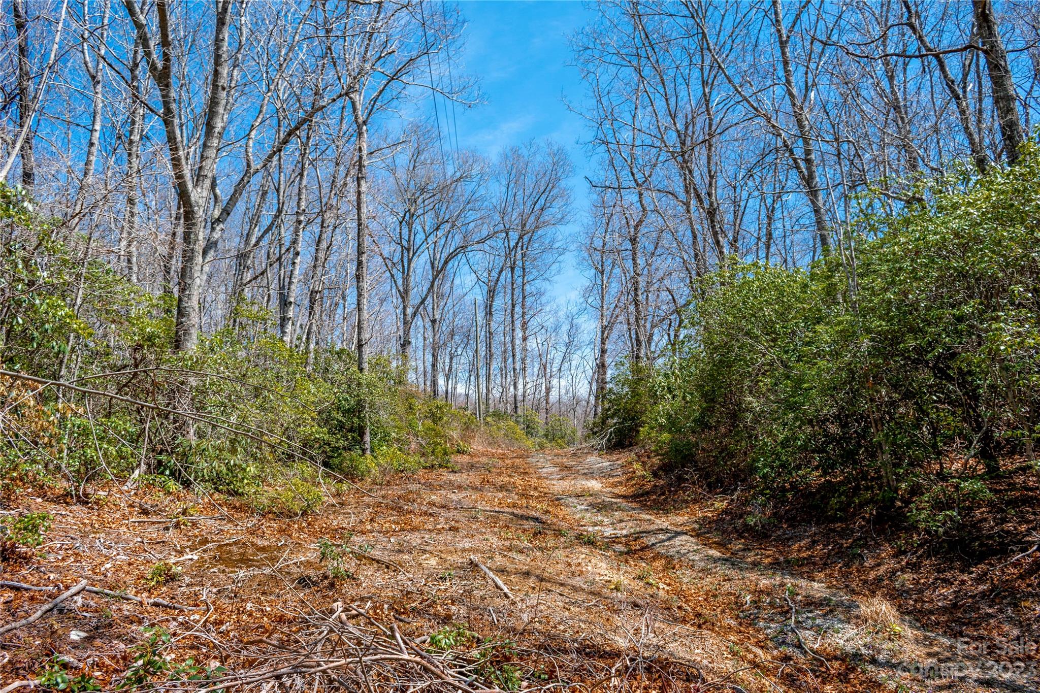 Tbd Marlowe Road Fairview, NC 28730 - Photo 45 of 46 Gallery Image 45