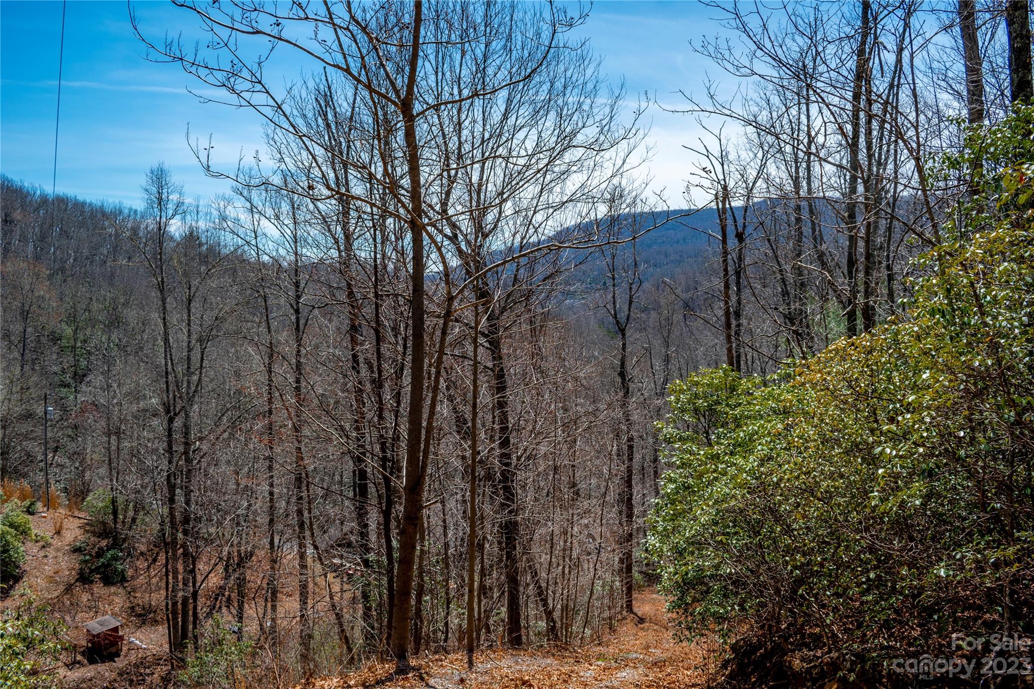 Tbd Marlowe Road Fairview, NC 28730 - Photo 46 of 46 Gallery Image 46