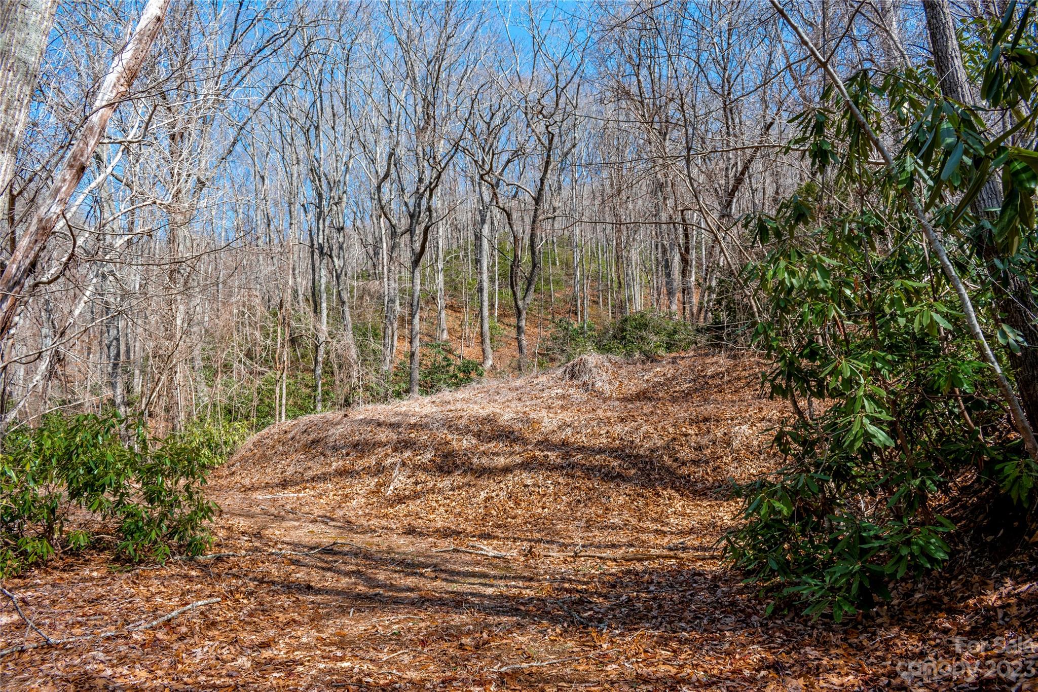 Tbd Marlowe Road Fairview, NC 28730 - Photo 5 of 46 Gallery Image 5