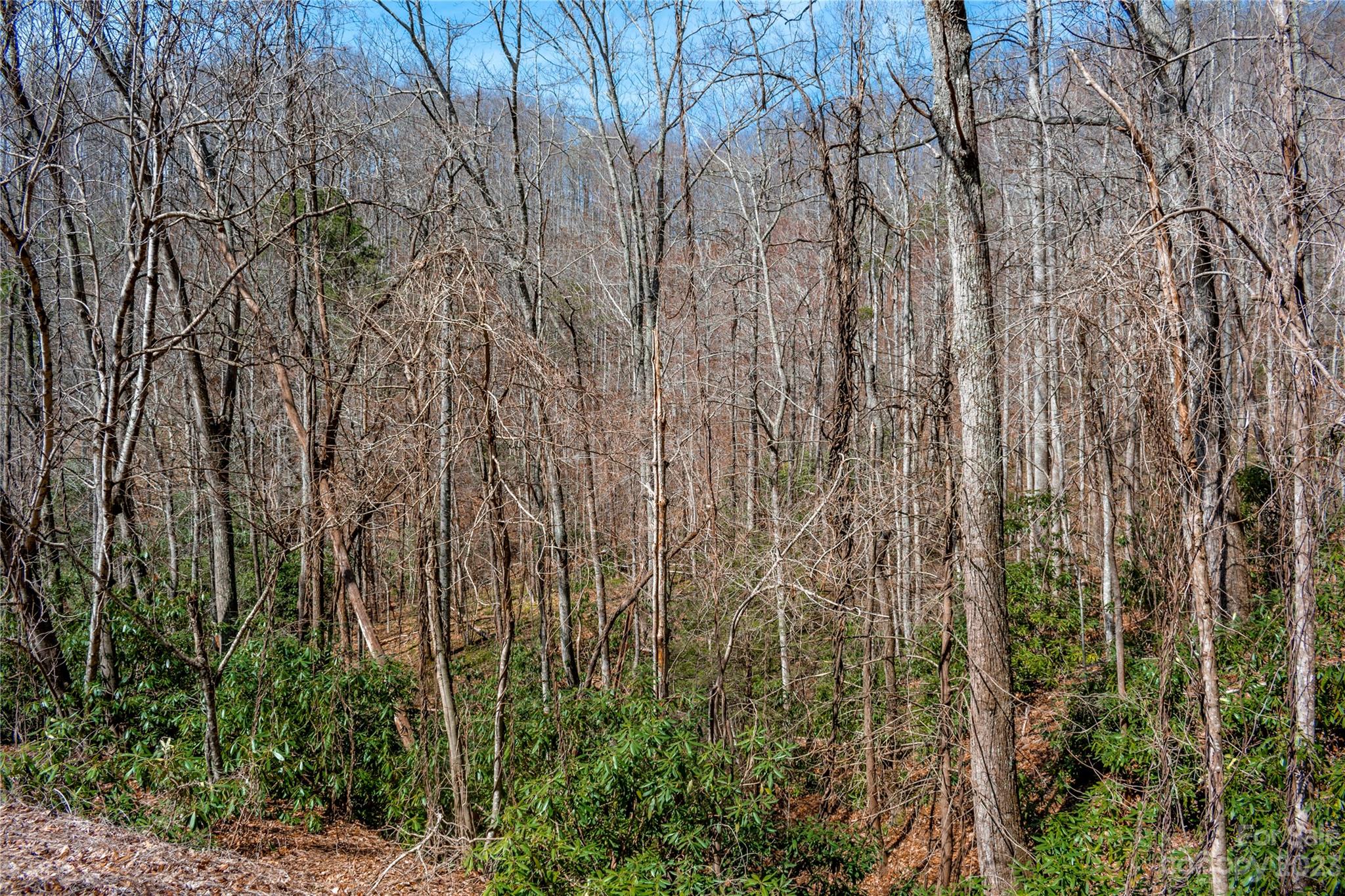 Tbd Marlowe Road Fairview, NC 28730 - Photo 7 of 46 Gallery Image 7