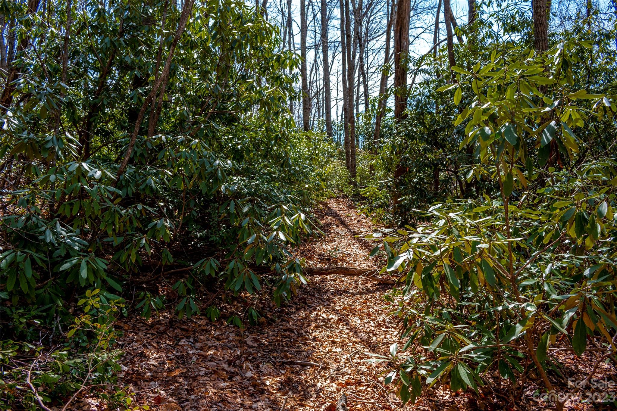 Tbd Marlowe Road Fairview, NC 28730 - Photo 8 of 46 Gallery Image 8