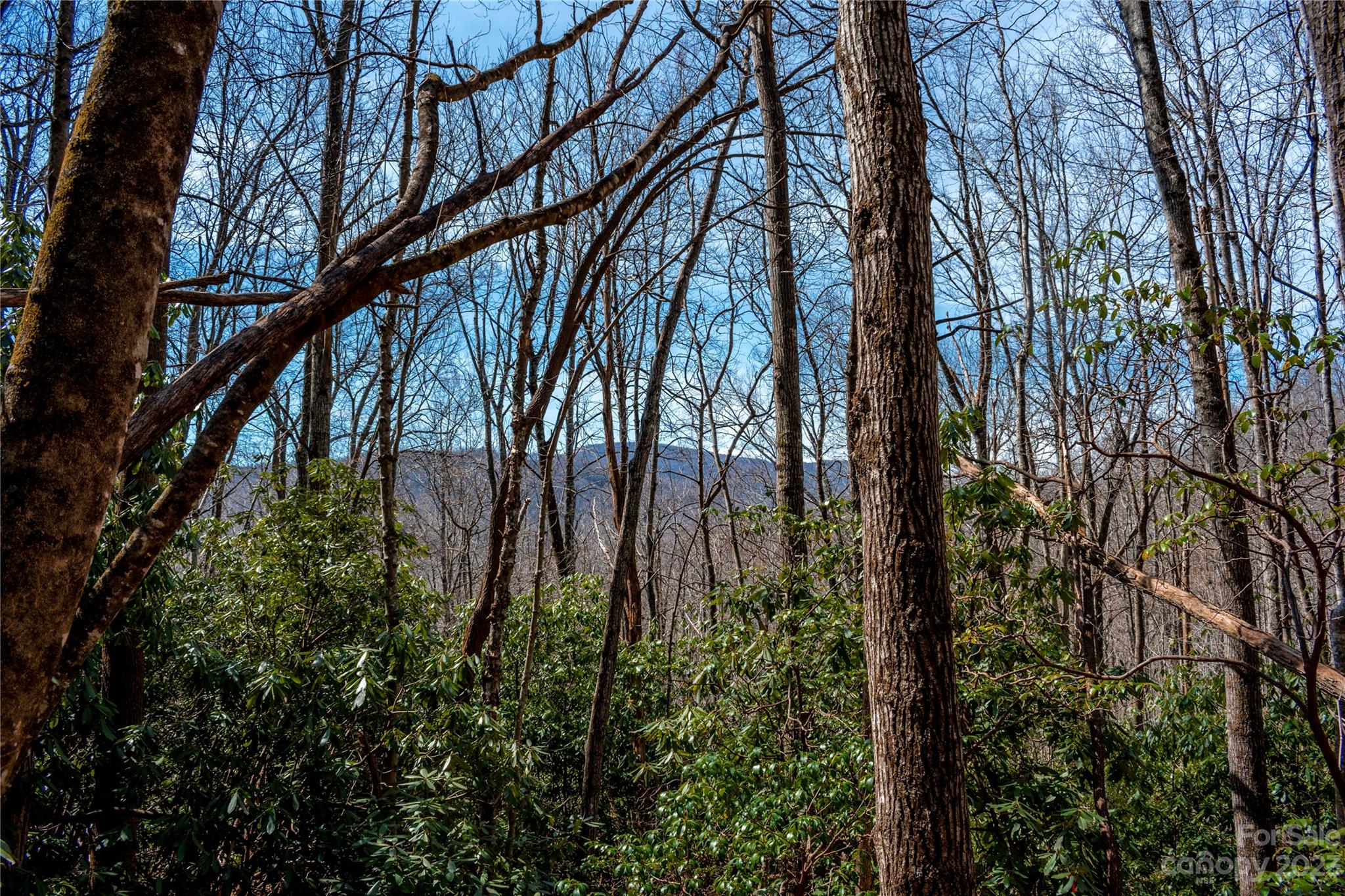 Tbd Marlowe Road Fairview, NC 28730 - Photo 10 of 46 Gallery Image 10