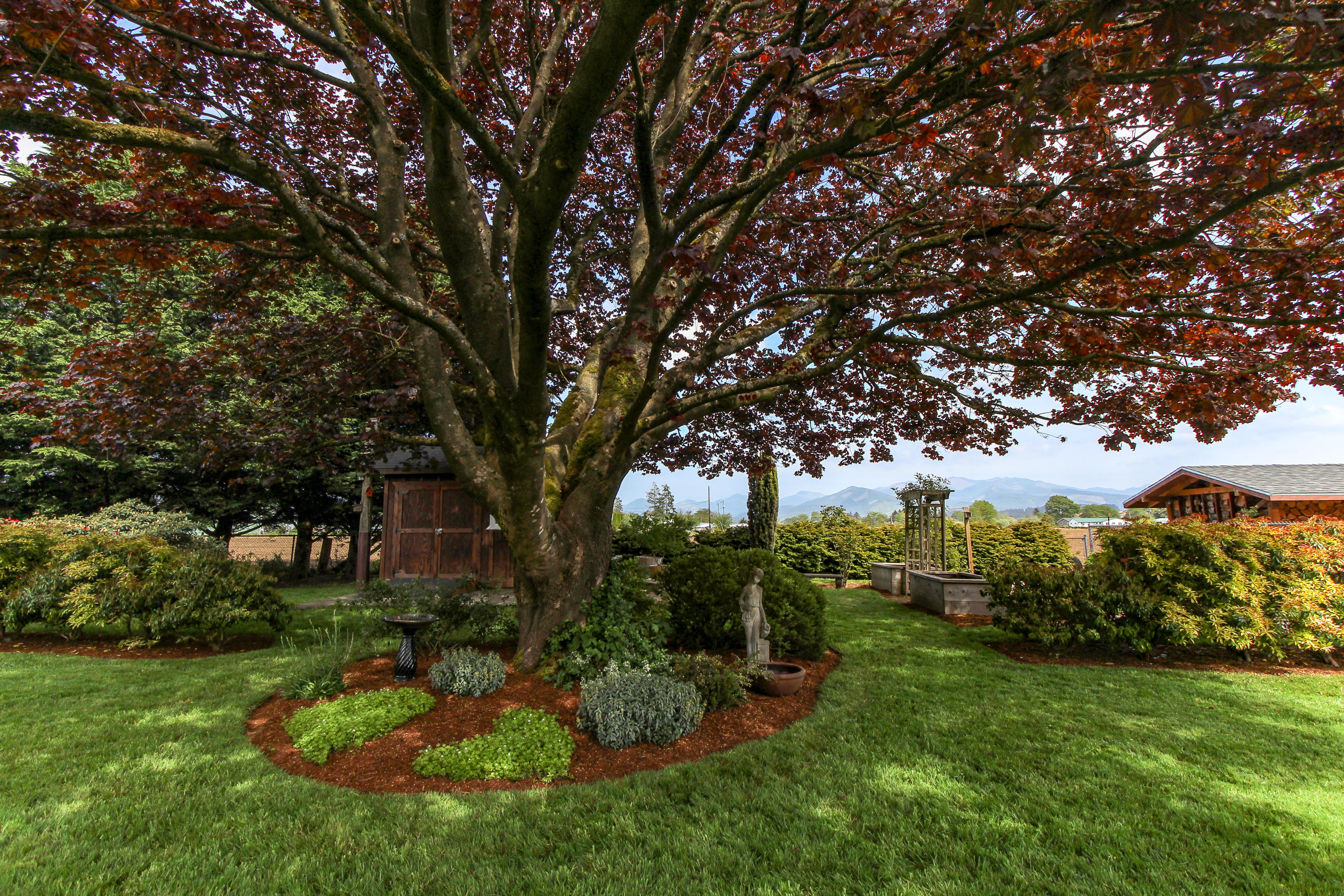 3225 Fitzpatrick Road Tillamook, OR 97141 - Photo 5 of 50 a view of backyard with green space