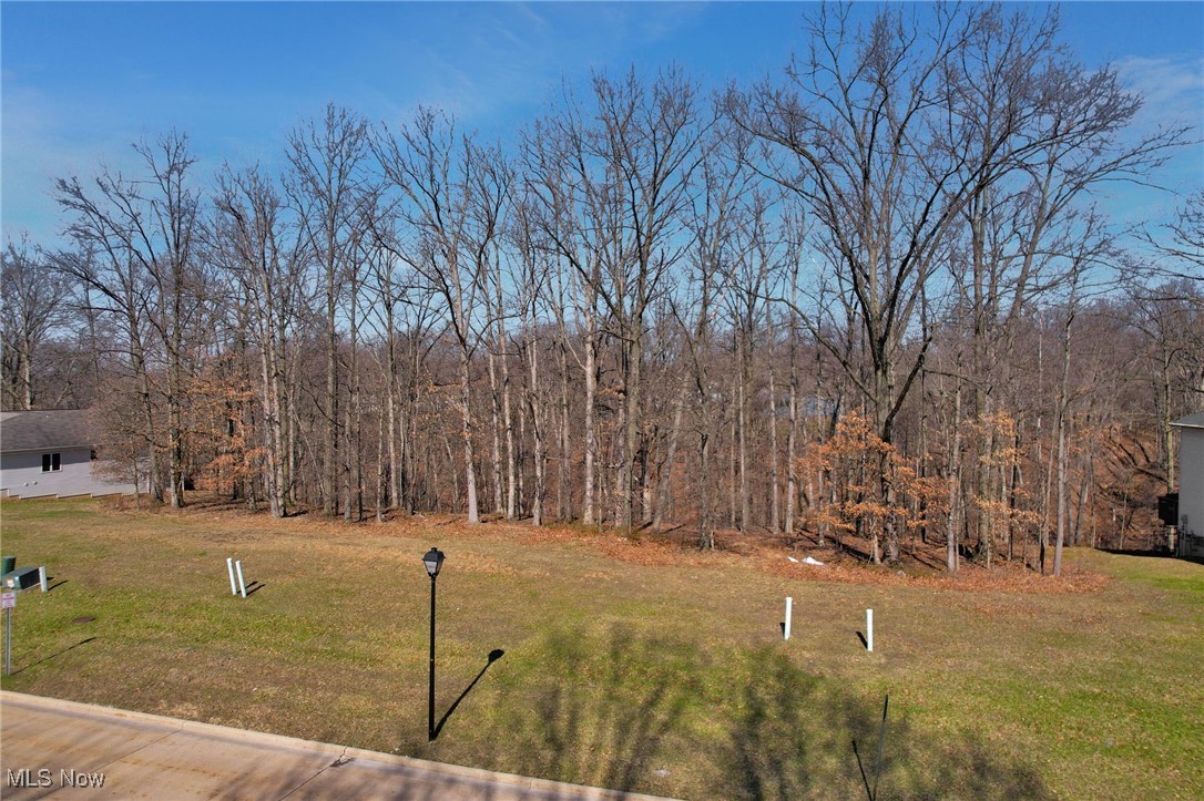 6378 Valley Ranch Drive Maple Heights, OH 44137 - Photo 2 of 12 View of yard with a forest view