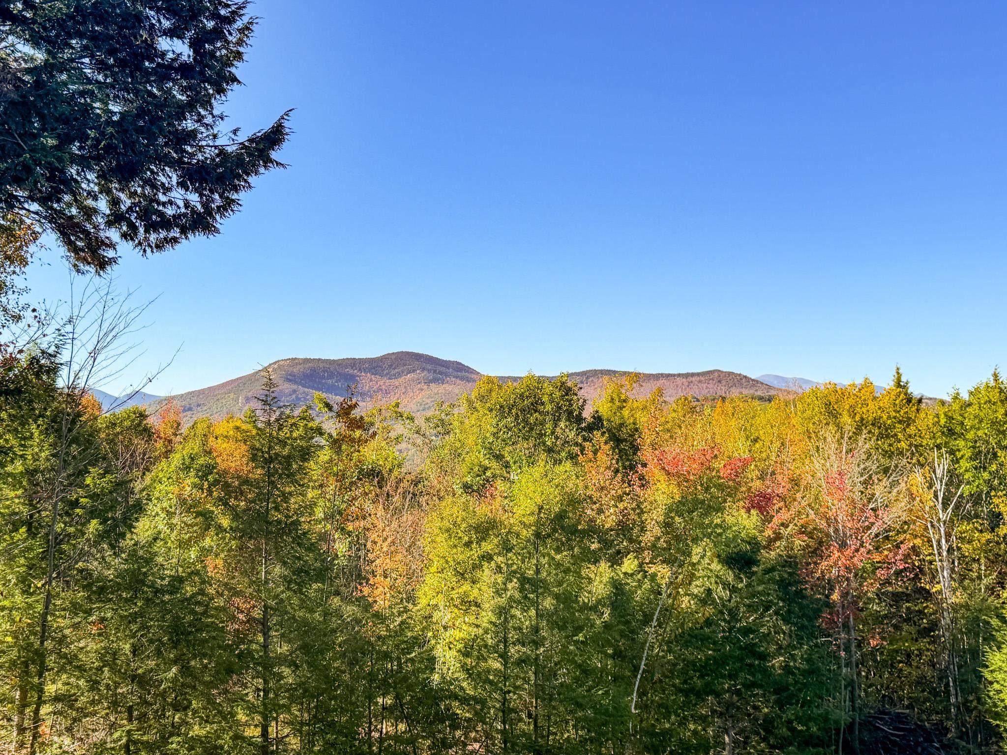 15 Attitash Woods Road Bartlett, NH 03860 - Photo 55 of 56