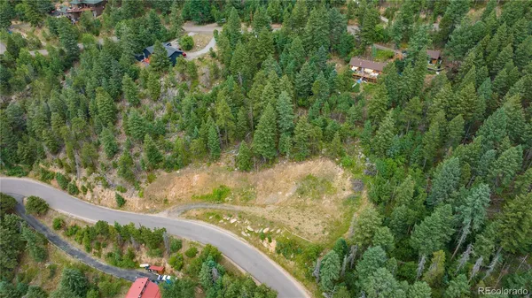 a view of a yard with plants