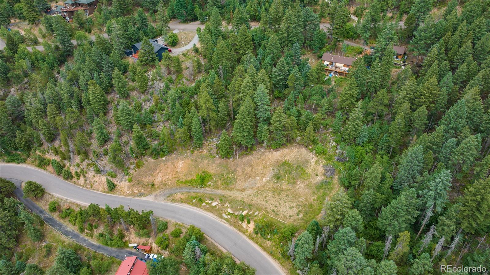 10126 Crest View Drive Morrison, CO 80465 - Photo 13 of 14 a view of a yard with plants