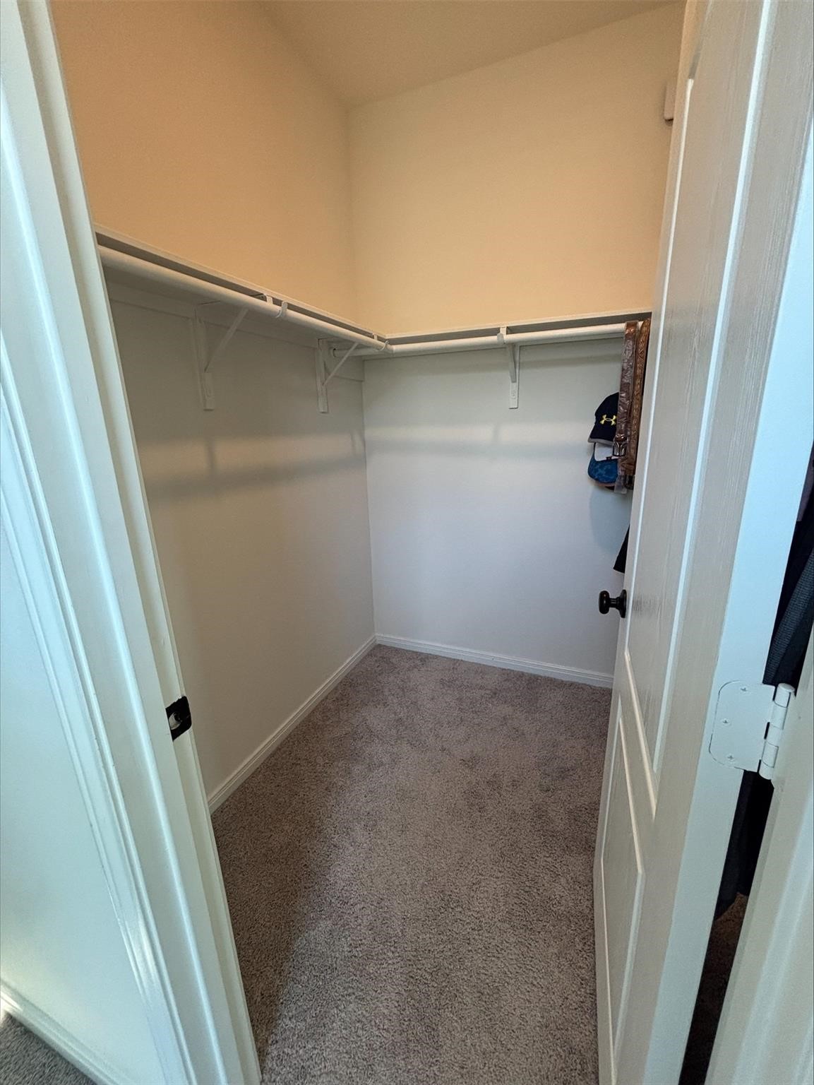 1323 Rosemead Drive Rosharon, TX 77583 - Photo 15 of 27