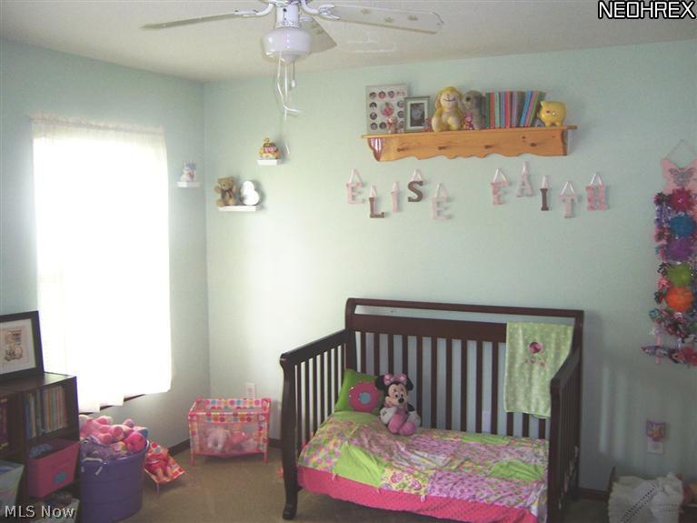 291 Ruth Street Geneva, OH 44041 - Photo 19 of 23 Gallery Image 19