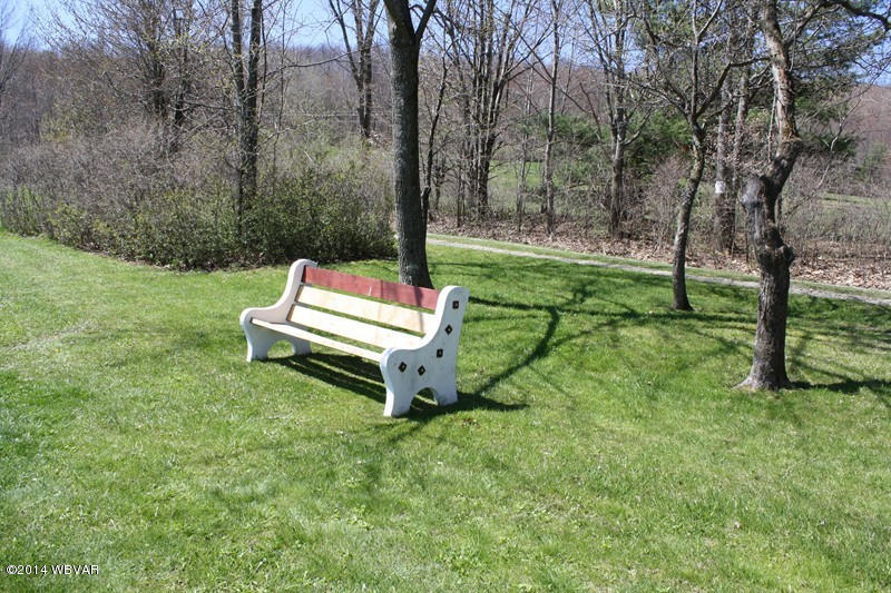 480 Trowbridge Station Road Millerton, PA 16936 - Photo 14 of 77 126390-14