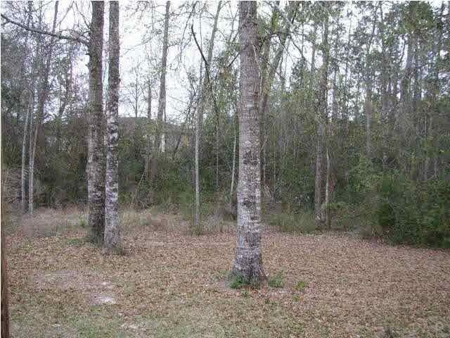 1505 Silver Ridge Drive Cantonment, FL 32533 - Photo 23 of 24 Wooded Back Yard