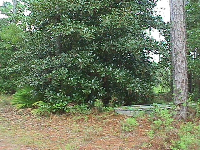 7 Harstvedt Road Santa Rosa Beach, FL 32459 - Photo 1 of 1 a backyard of a house with lots of green space