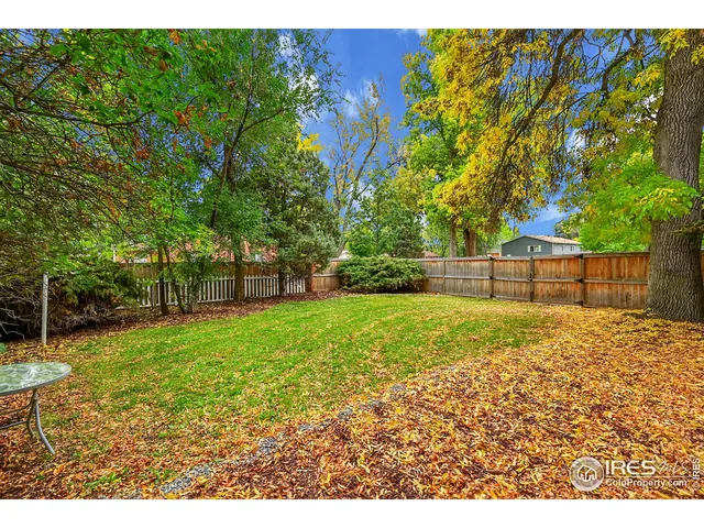 a view of a backyard with wooden fence