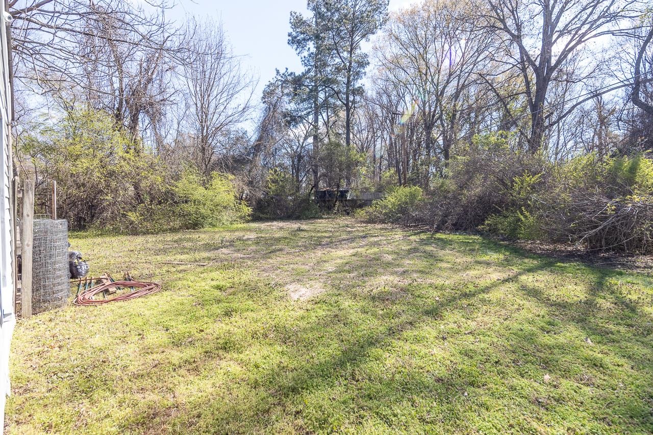 456 Gerald Road Memphis, TN 38122 - Photo 23 of 25 a view of backyard with tree