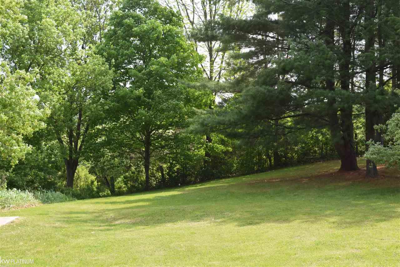 2758 Coleman Road Smiths Creek, MI 48074 - Photo 19 of 21