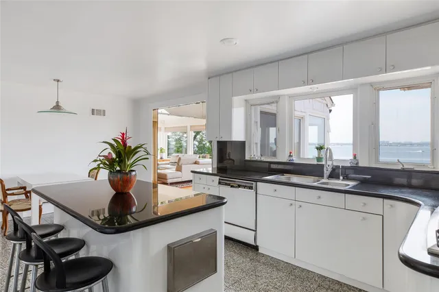 a kitchen with a potted plant on the counter and cabinets