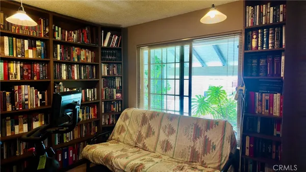 a living room with furniture and a book shelf